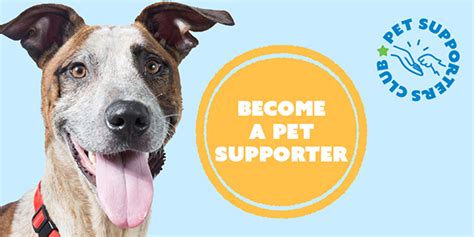 rspca raffle|RSPCA Queensland .